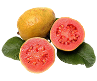 Guava