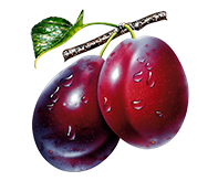 Plum
